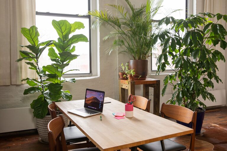 Tips for Creating a Cozy and Productive Home Office Space